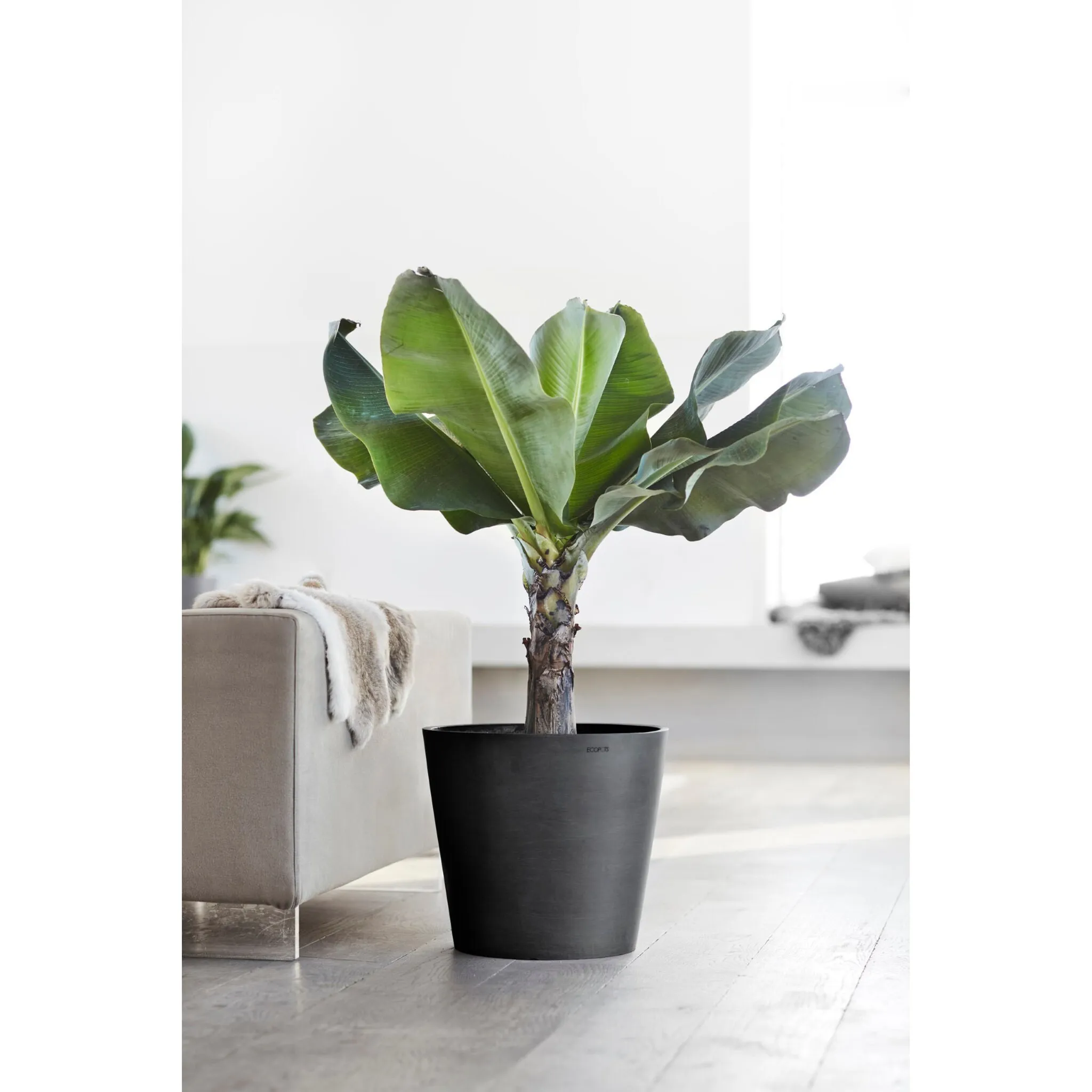 

Цветочный горшок ECOPOTS «Амстердам», ØxВ: 40x35 см, темно-серый