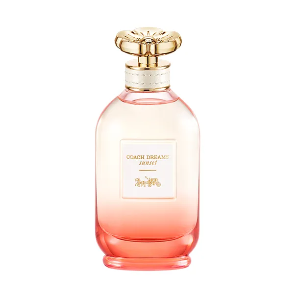 

Парфюмированная вода для женщин Dreams Sunset Coach, 60 ml