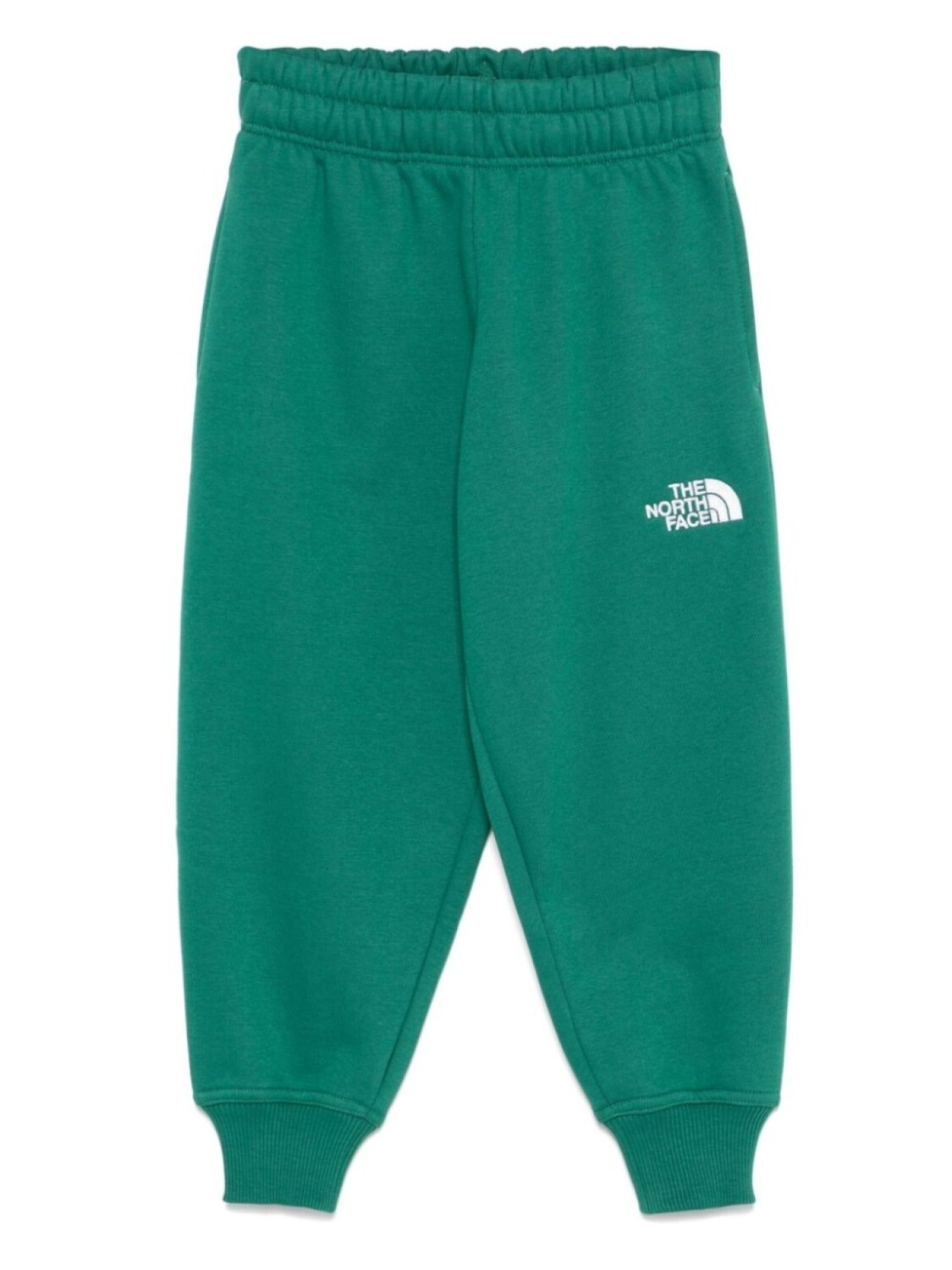 

Спортивные брюки с вышитым логотипом The North Face Kids, зеленый