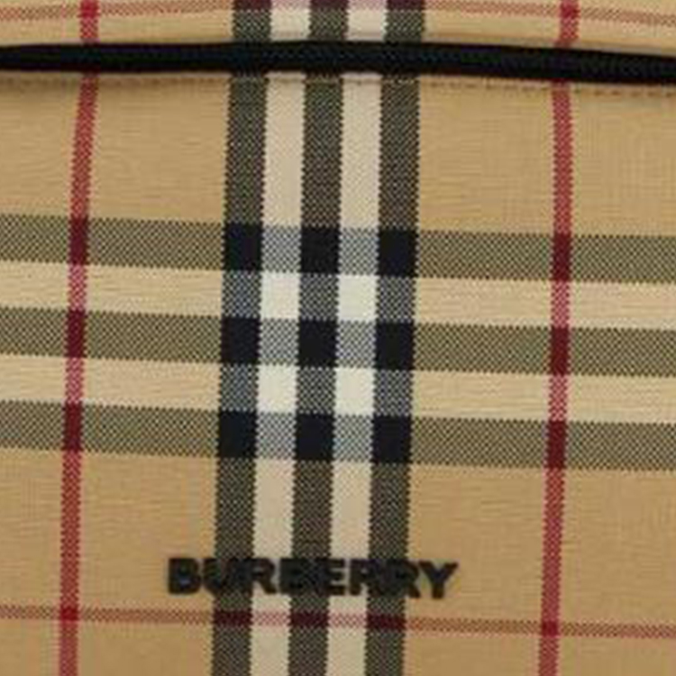 Сумка-пояс Sonny Archive бежевая Burberry — фото 4