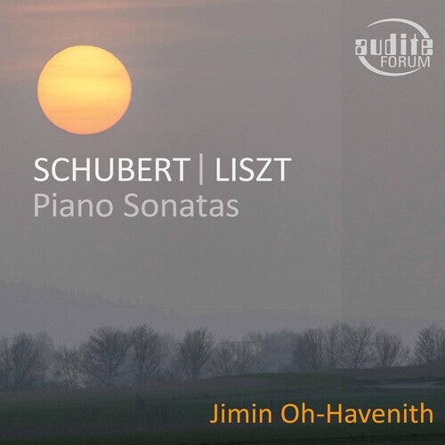 

CD диск Liszt / Oh-Havenith: Piano Sonatas