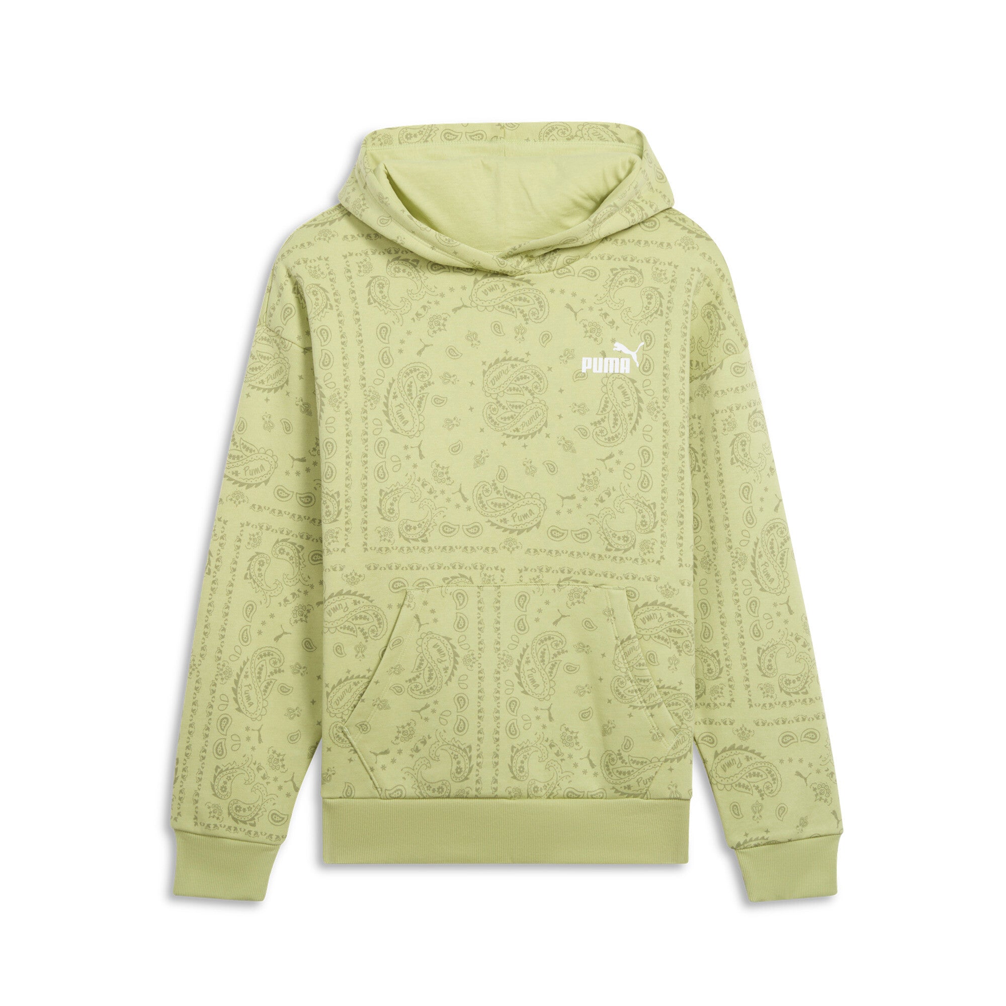

Женская толстовка PUMA ESS+ Paisley AOP с капюшоном, фисташковый