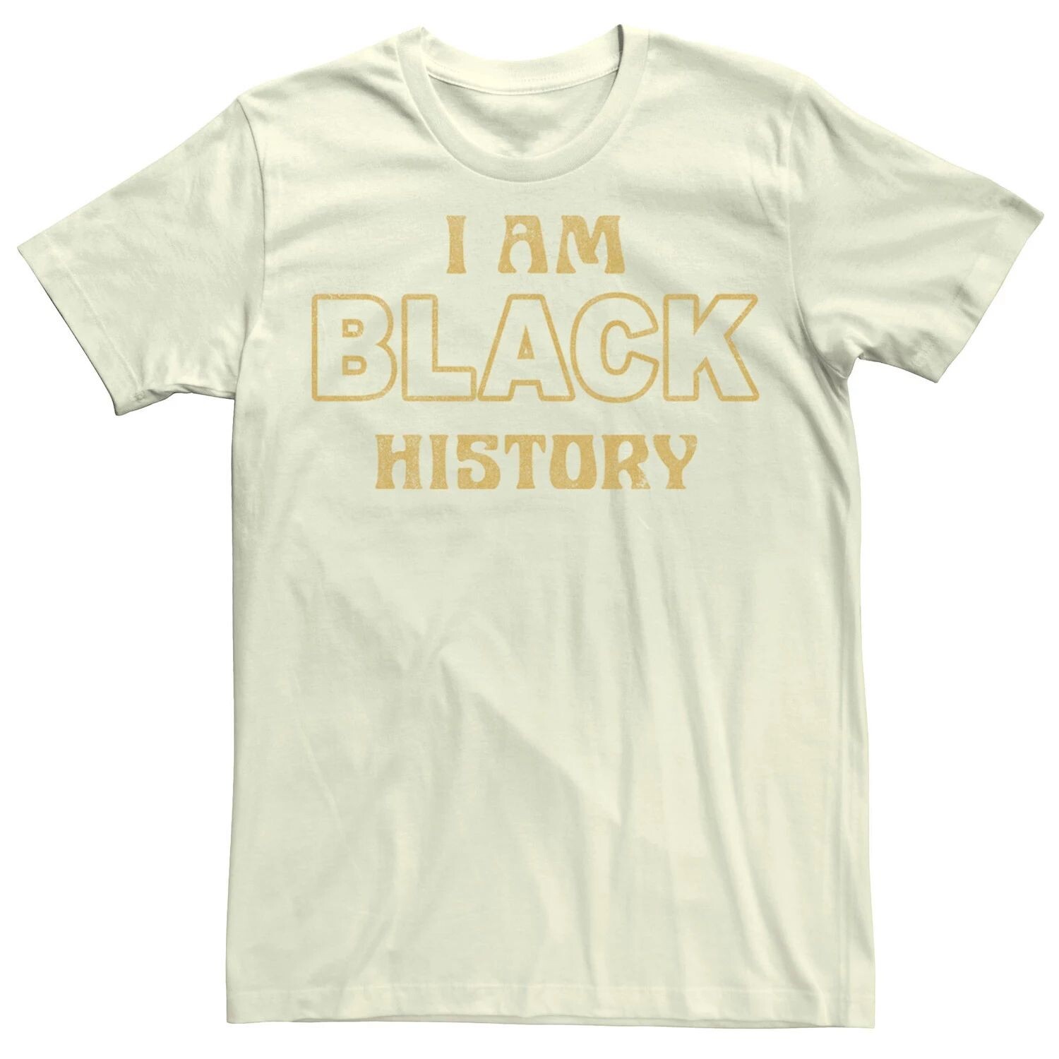 

Мужская футболка с надписью I Am Black History Licensed Character