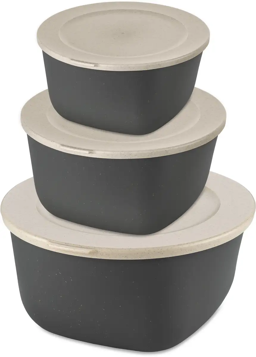 

Набор из 3 контейнеров для хранения продуктов Koziol Connect Box Set Stockholm, цвет nature ash grey