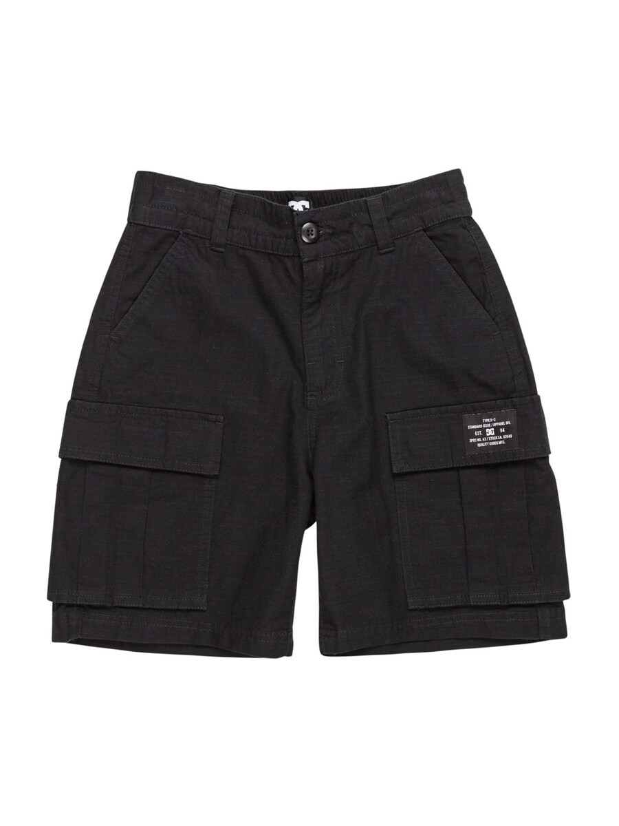 

Широкие спортивные брюки DC Shoes TUNDRA, черный