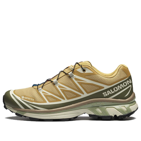 

Кроссовки xt-6 gore-tex 475810 Salomon, коричневый