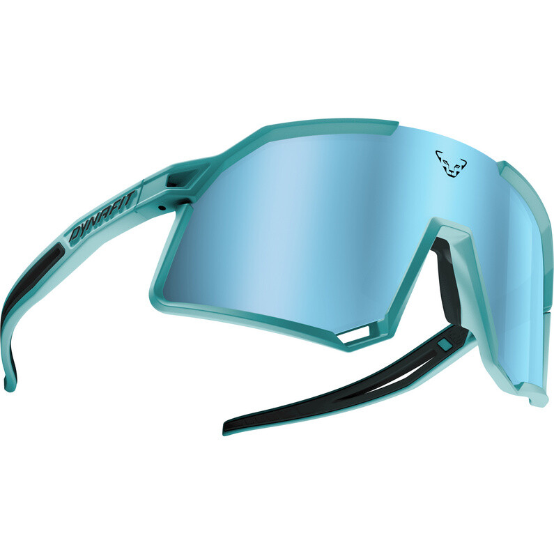 

Спортивные очки Trail Evo Dynafit, бирюзовый