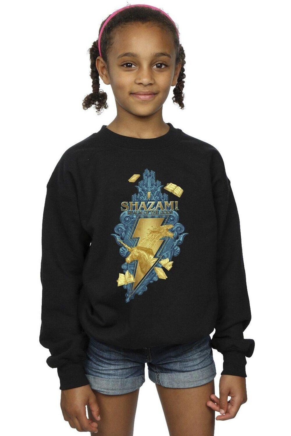 

Толстовка Shazam Fury Of The Gods Golden Animal Bolt DC Comics, черный