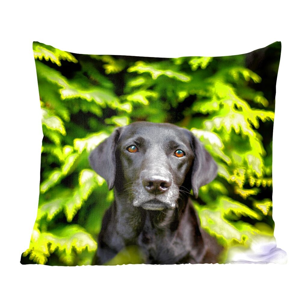 

Декоративная подушка MuchoWow диванная подушка для гостиной декоративная подушка 60x60 см Черный лабрадор-ретривер посреди зеленых листьев - чехол на подушку - хлопчатобумажная ткань - декоративные наволочки