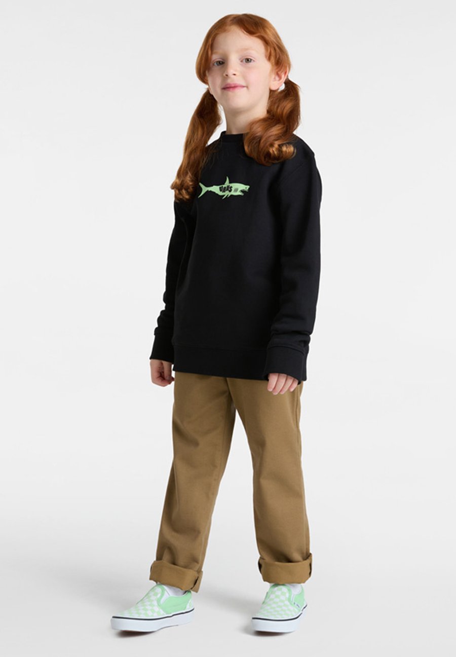 

Толстовка Vans THE PACK, Black