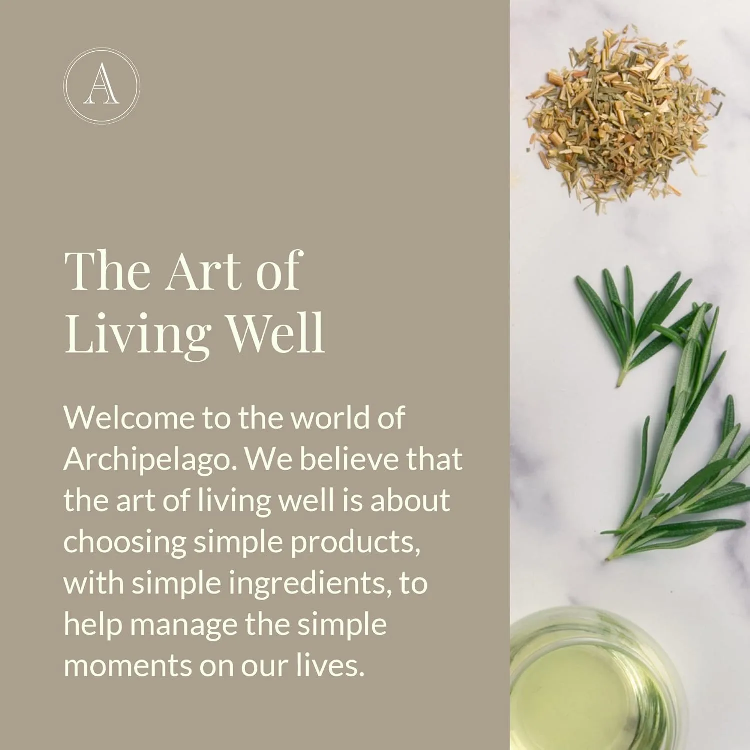 Гель для душа Archipelago Botanicals Milk Body Wash, увлажняющий гель для тела для сухой и чувствительной кожи, делает кожу мягкой и гладкой, не содержит парабенов, фталатов и ГМО (955 мл). 976 мл, WHITE — фото 4