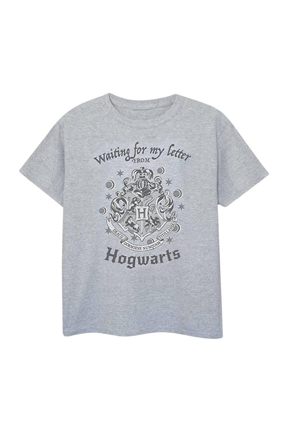 Футболка «В ожидании моего письма» из Хогвартса Harry Potter, серый — фото 2
