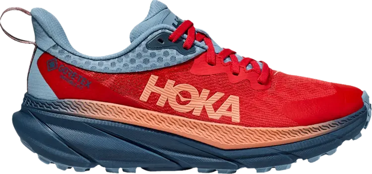 Кроссовки Wmns Challenger ATR 7 GORE-TEX 'Cerise Real Teal', красный