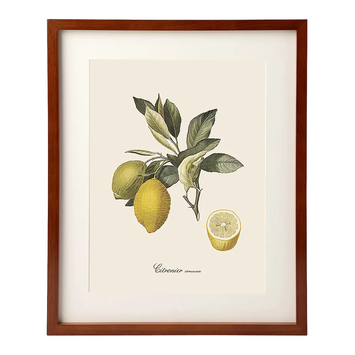 

Набор листов Dybahl Lemons + Marco Thor El Corte Inglés, естественный