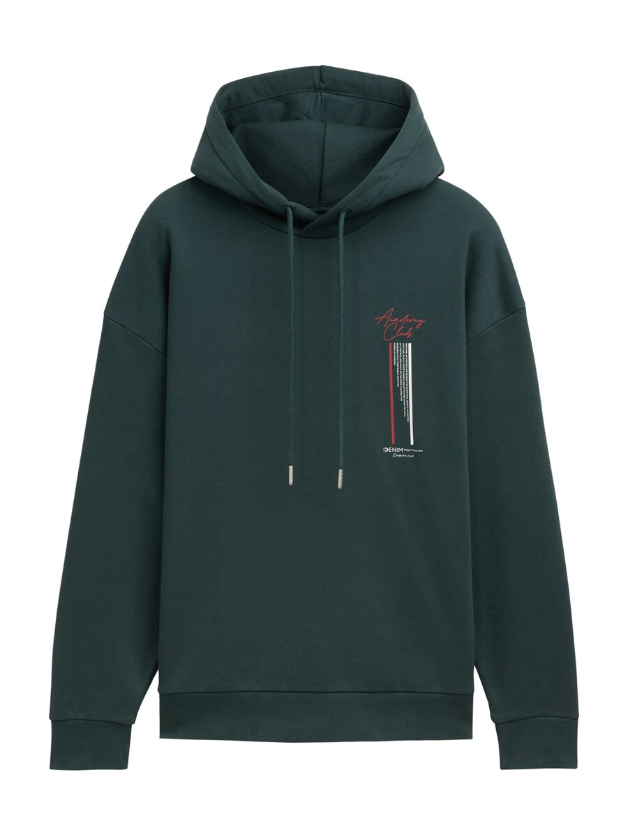 

Толстовка TOM TAILOR DENIM, цвет Light green/Dark green