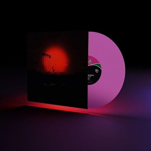 

Виниловая пластинка Afghan Whigs - How Do You Burn