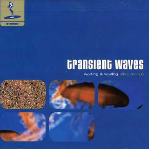

CD диск Transient Waves: Wading & Waiting: Bliss Out Vol.8