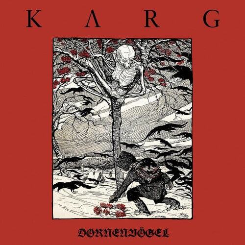 

CD диск Karg: Dornenvogel