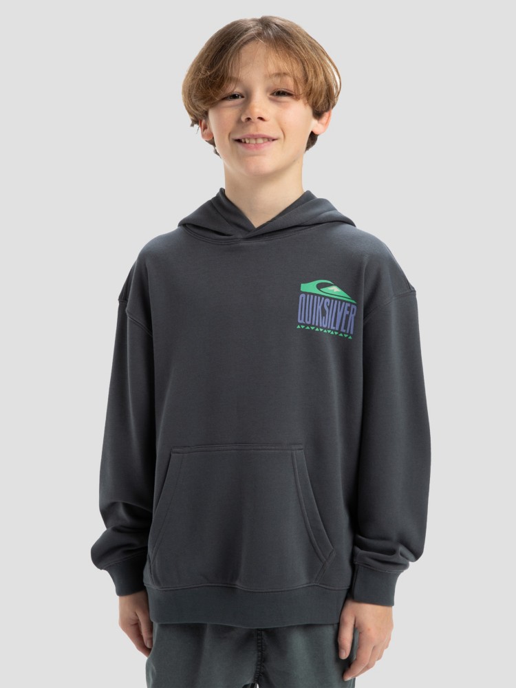 Толстовка Quiksilver Apog Heritage Kids Hoodie, iron gate — фото 2