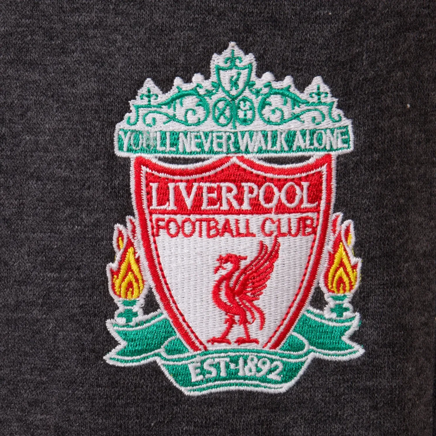 Детские джоггеры Liverpool FC Slim Fit, серый — фото 2