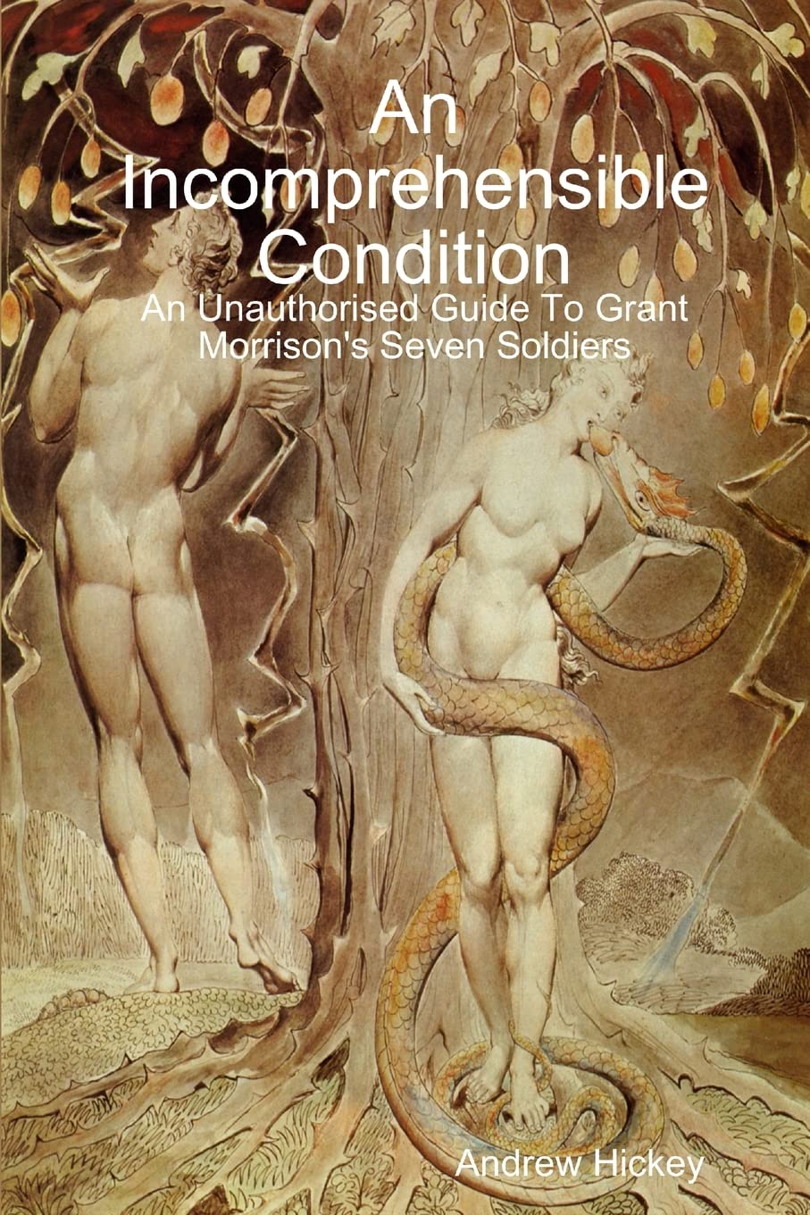 

An Incomprehensible Condition: An Unauthorised Guide To Grant Morrison's Seven Soldiers (Lulu.com)