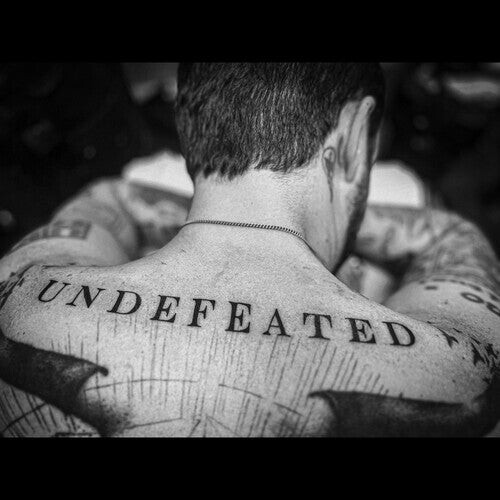 

Виниловая пластинка Turner, Frank: Undefeated