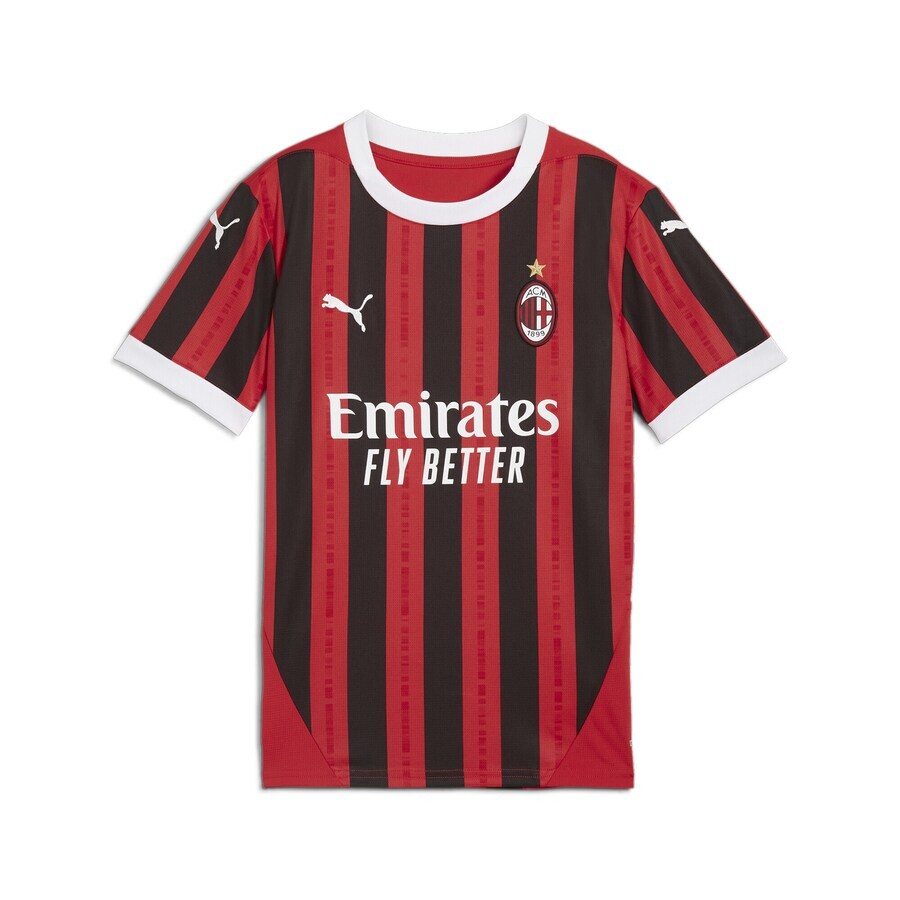 

Спортивная футболка PUMA Performance AC Milan 24/25, красный