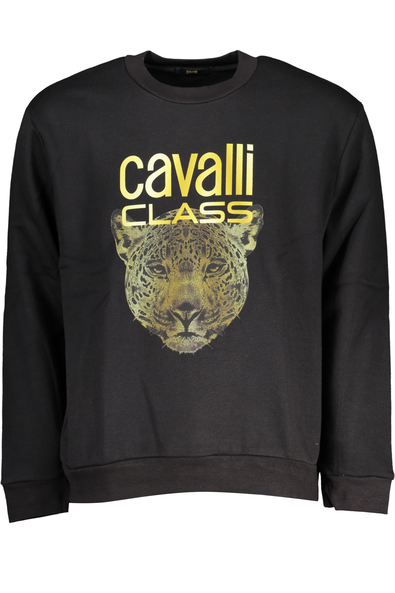

Толстовка женская Cavalli Class, черный