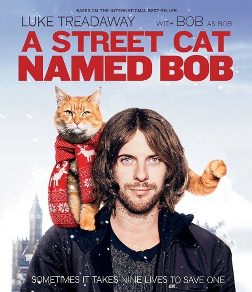 

Диск Blu-ray Street Cat Named Bob