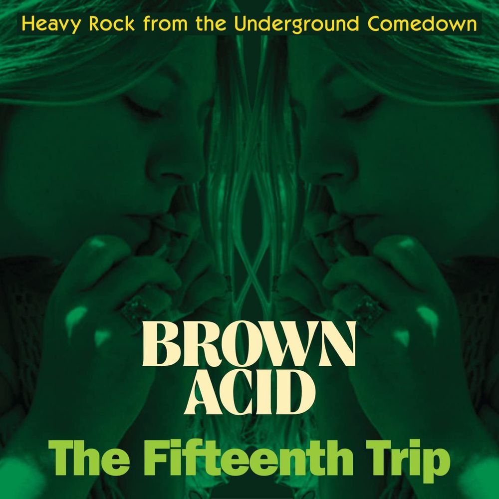 

Виниловая пластинка LP Brown Acid:The Fifteenth Trip - Various Artists