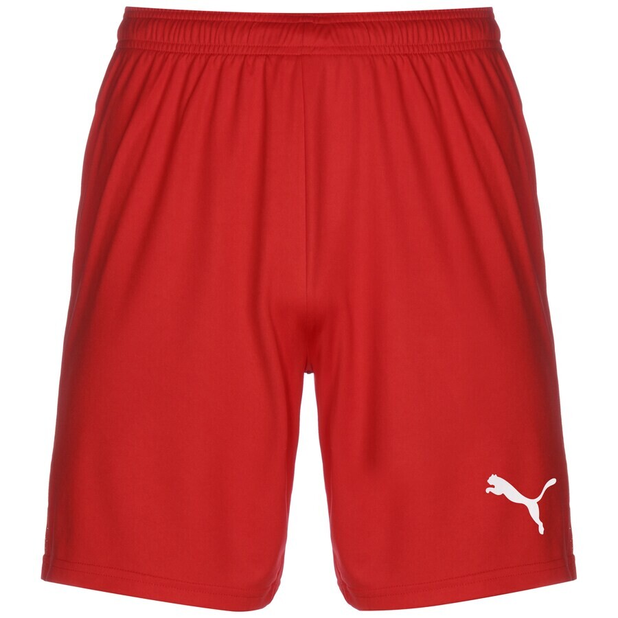 

Тренировочные брюки Puma TEAMGOAL 23 KNIT, красный