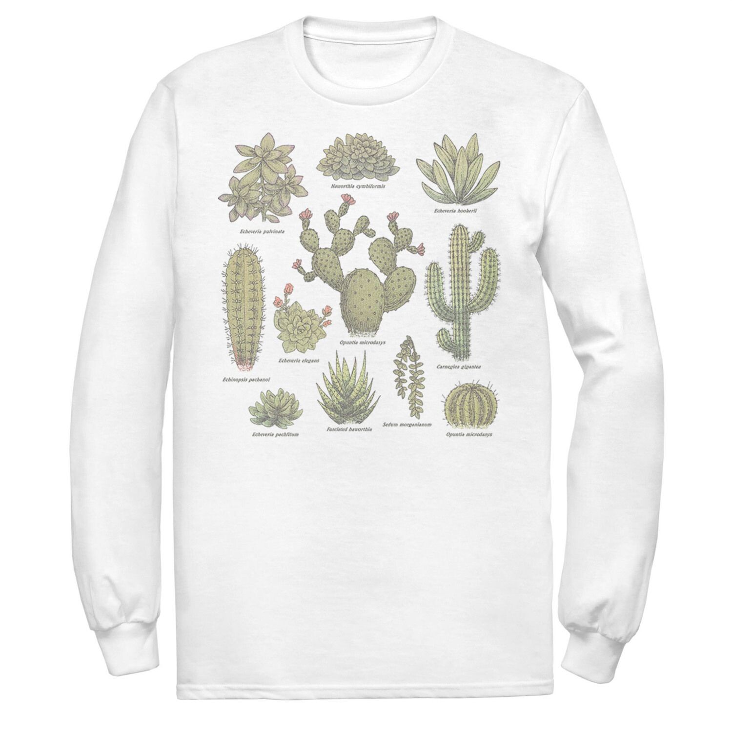 

Мужская футболка Fifth Sun Botanical Cactus Line Up Licensed Character