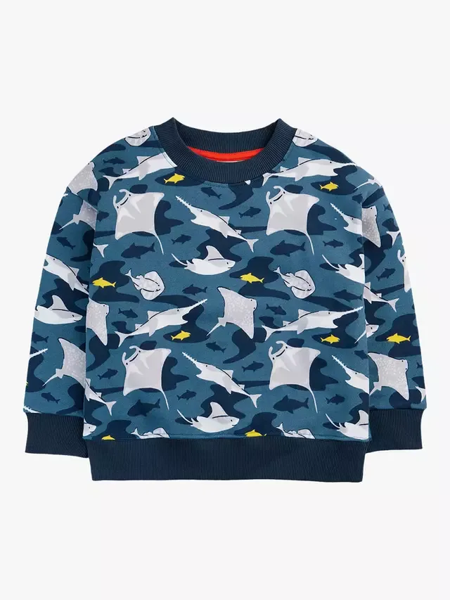 Детская толстовка из превосходного хлопкового флиса, Ray Fever Frugi