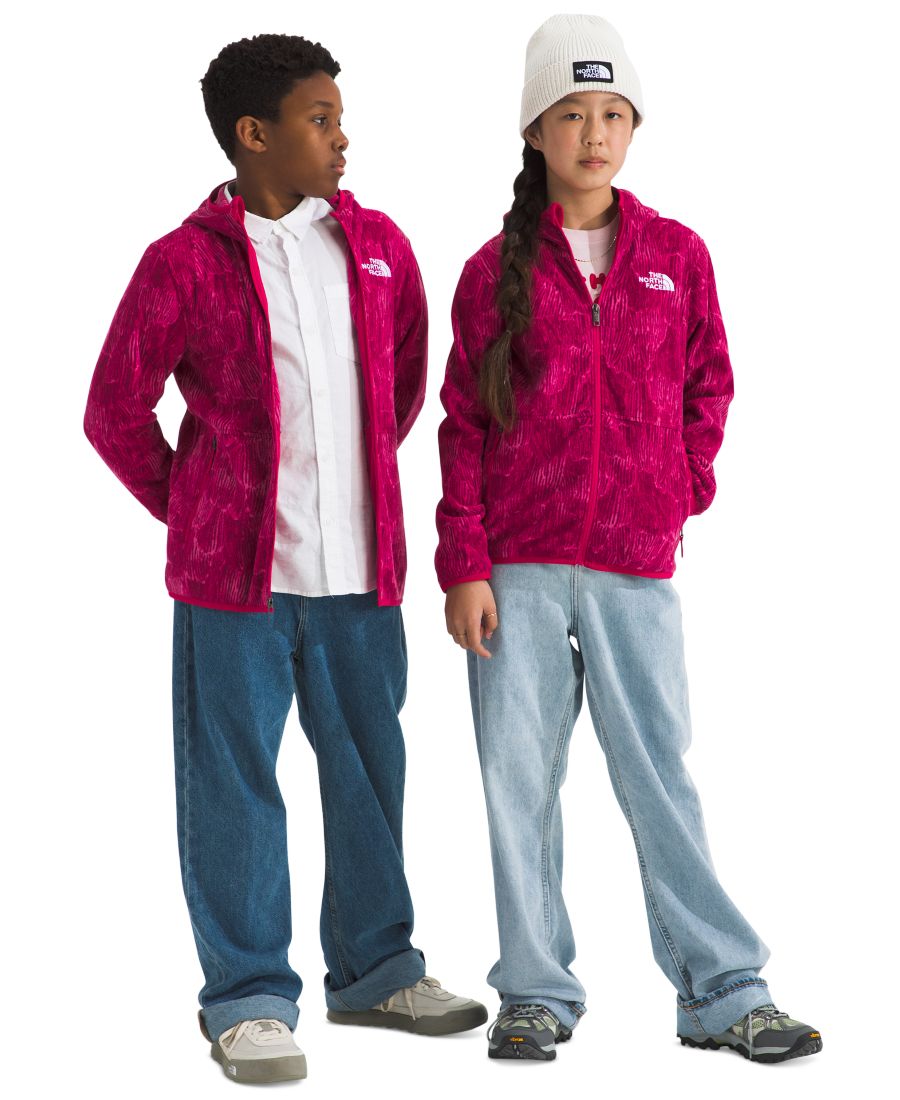 

Толстовка с капюшоном на молнии Glacier для мальчиков и девочек 8-20 лет The North Face, Deep Magenta Pink