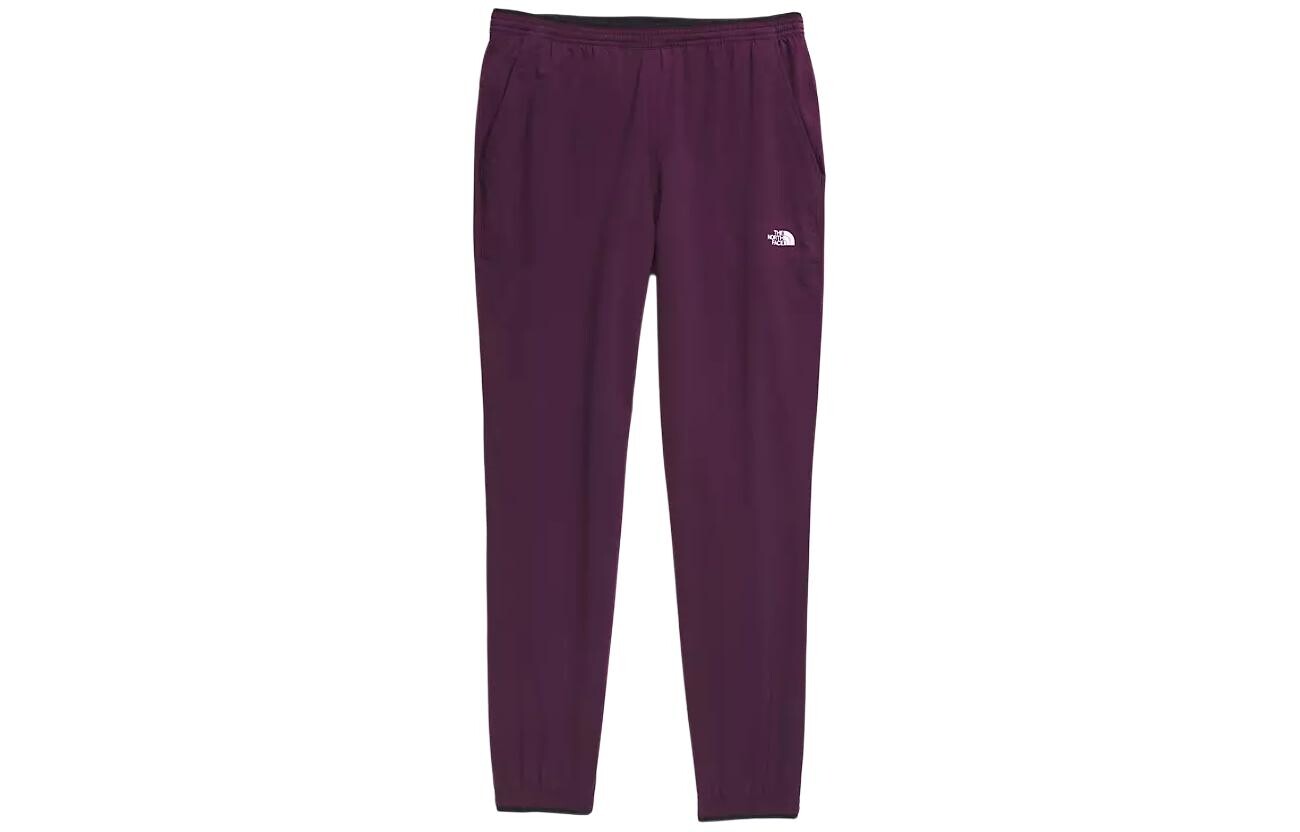 

Повседневные брюки мужские фиолетовые The North Face, фиолетовый