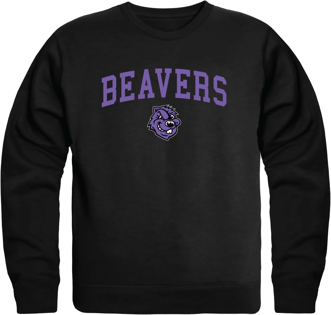 

CCNY Beavers Campus Crewneck Pullover Sweatshirt W Republic