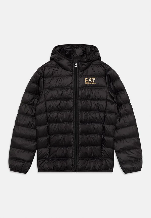 Куртка унисекс легкая куртка Ea7 Emporio Armani, Black/Gold — фото 3