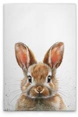 

Картина на холсте A.S. Création Brown Baby Bunny цвет weissbraunbeige
