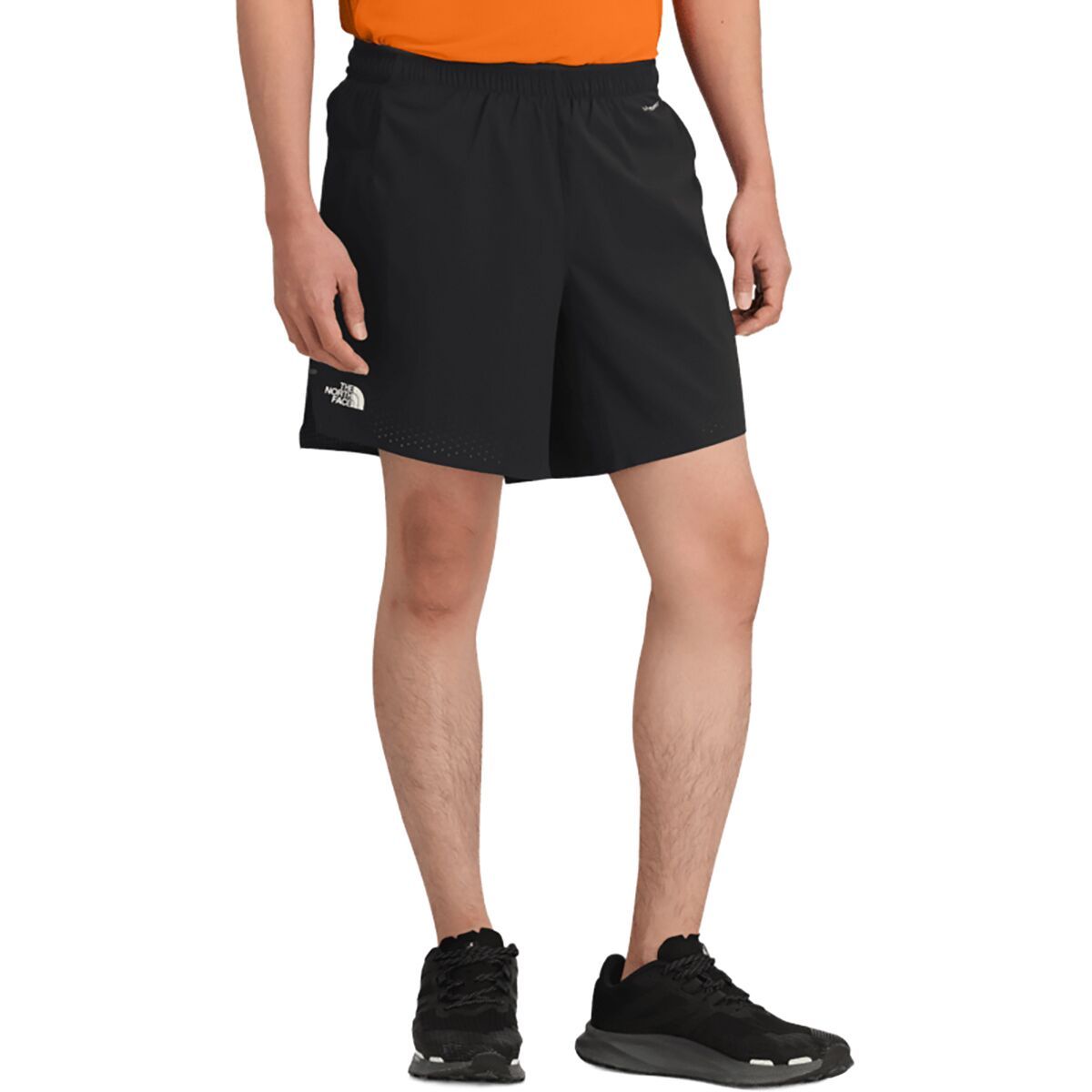 

Шорты Summit Pacesetter (18 см) The North Face, черный
