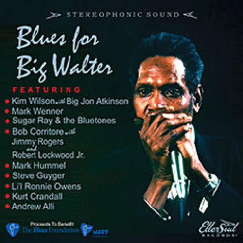 

CD диск Blues for Big Walter / Various: Blues For Big Walter (Various Artists)