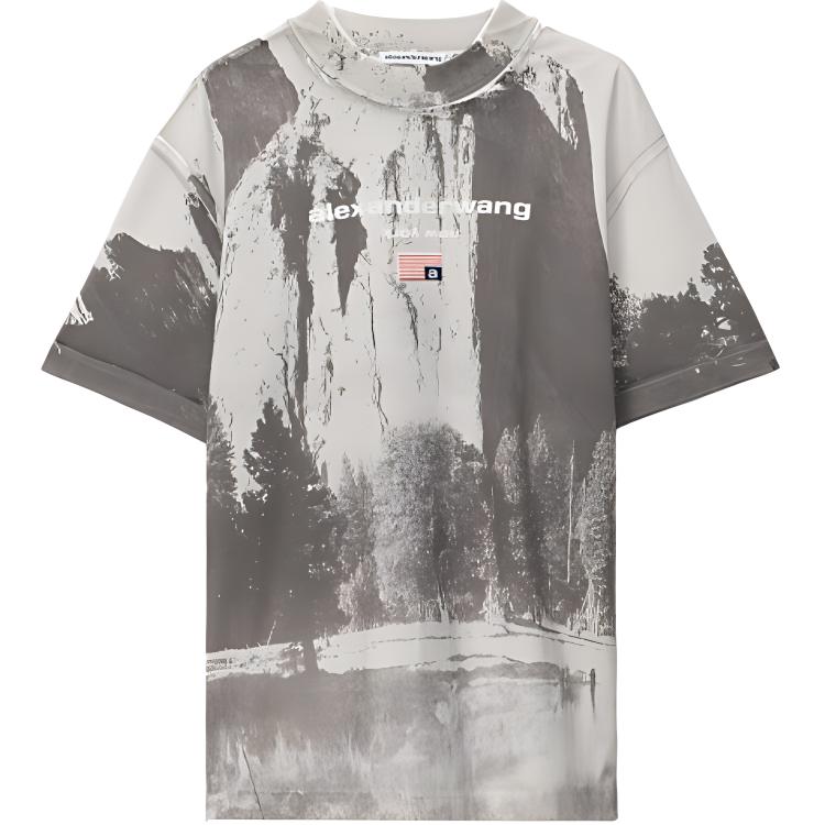 

Футболка мужская серая Alexander Wang