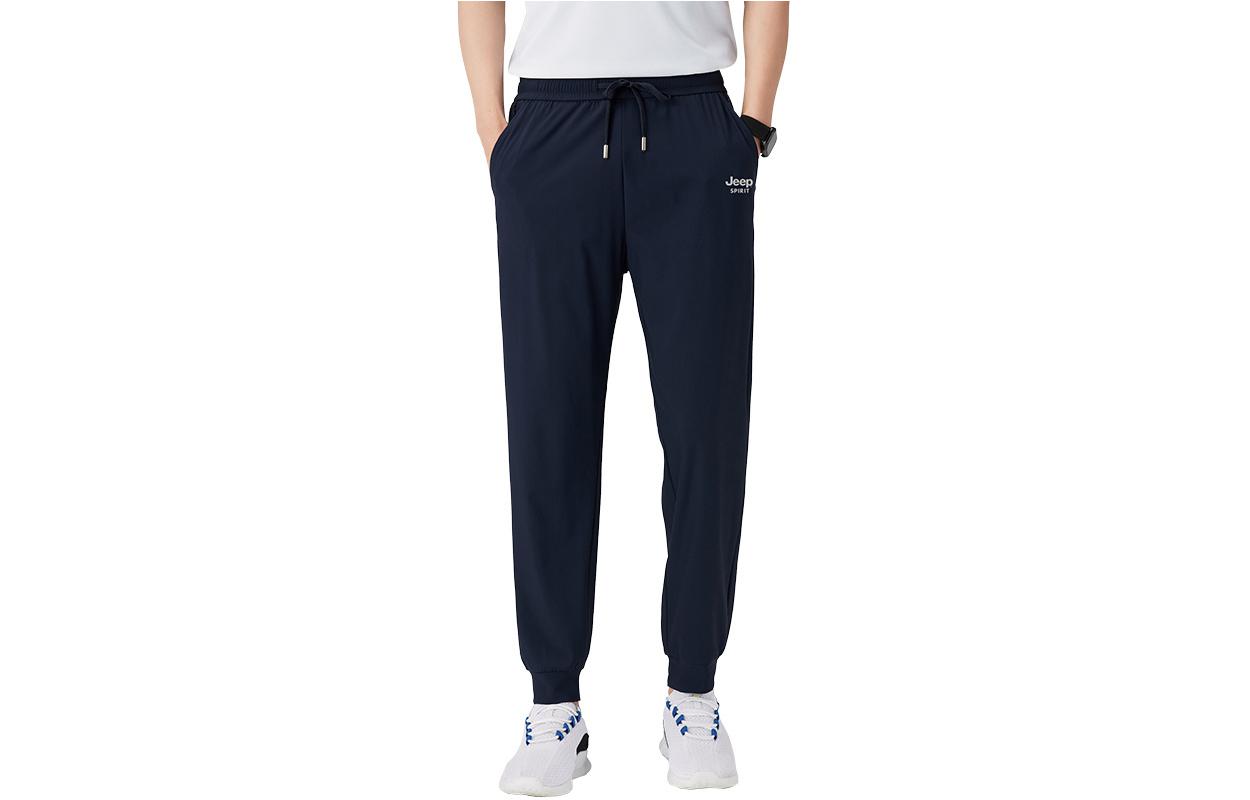 

Повседневные брюки мужские JEEP SPIRIT, темно-синий