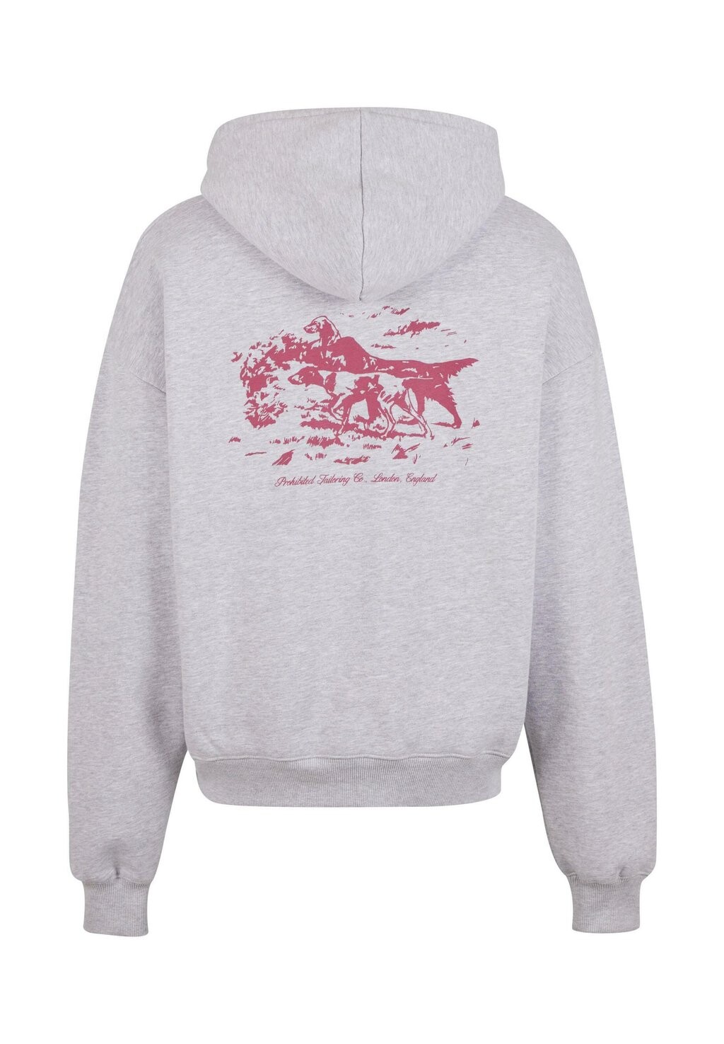 

Толстовка с капюшоном PROHIBITED, серый