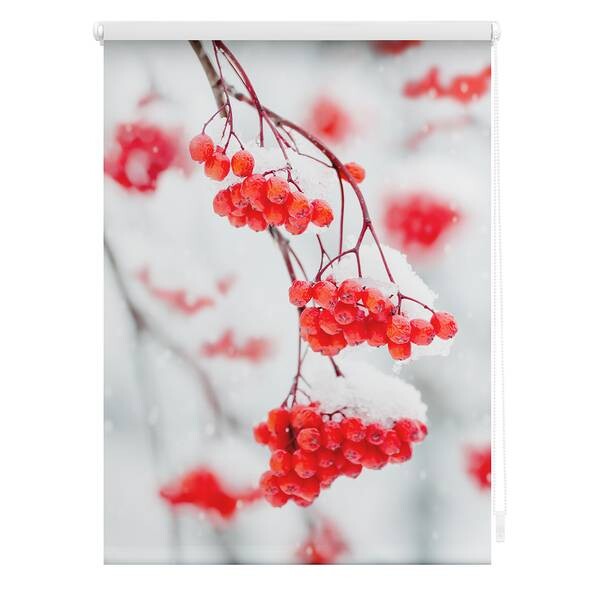 

Рулонные шторы Lichtblick Vogelbeeren, 90x150x6 см, красный/белый