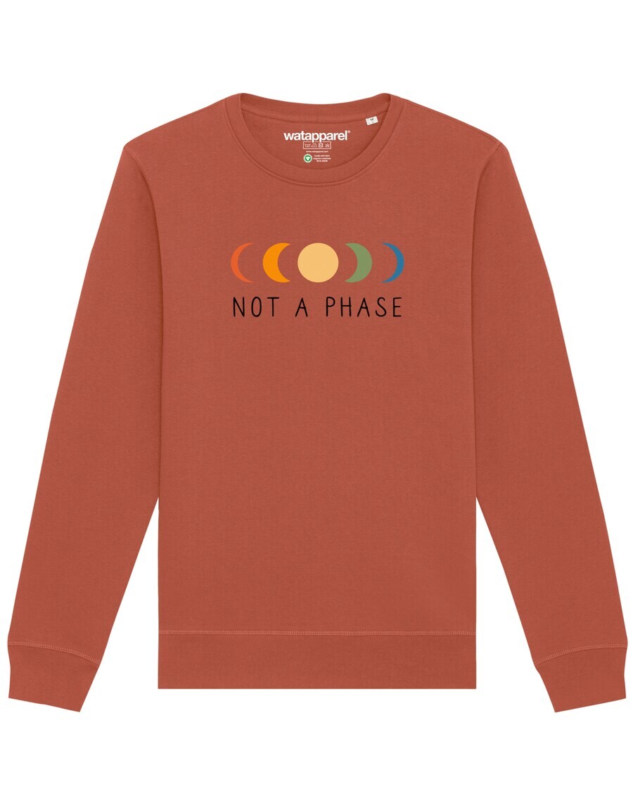 

Свитер Watapparel Sweatshirt Not a Phase, светло-коричневый
