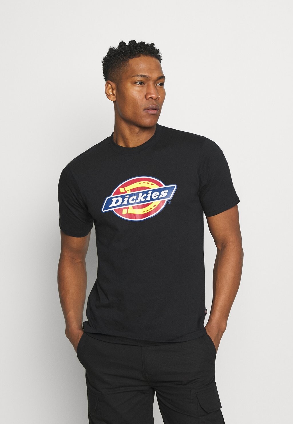 

Футболка с принтом ICON LOGO Dickies, черный