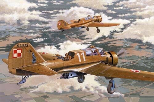 

Мираж, PZL23A Mirage