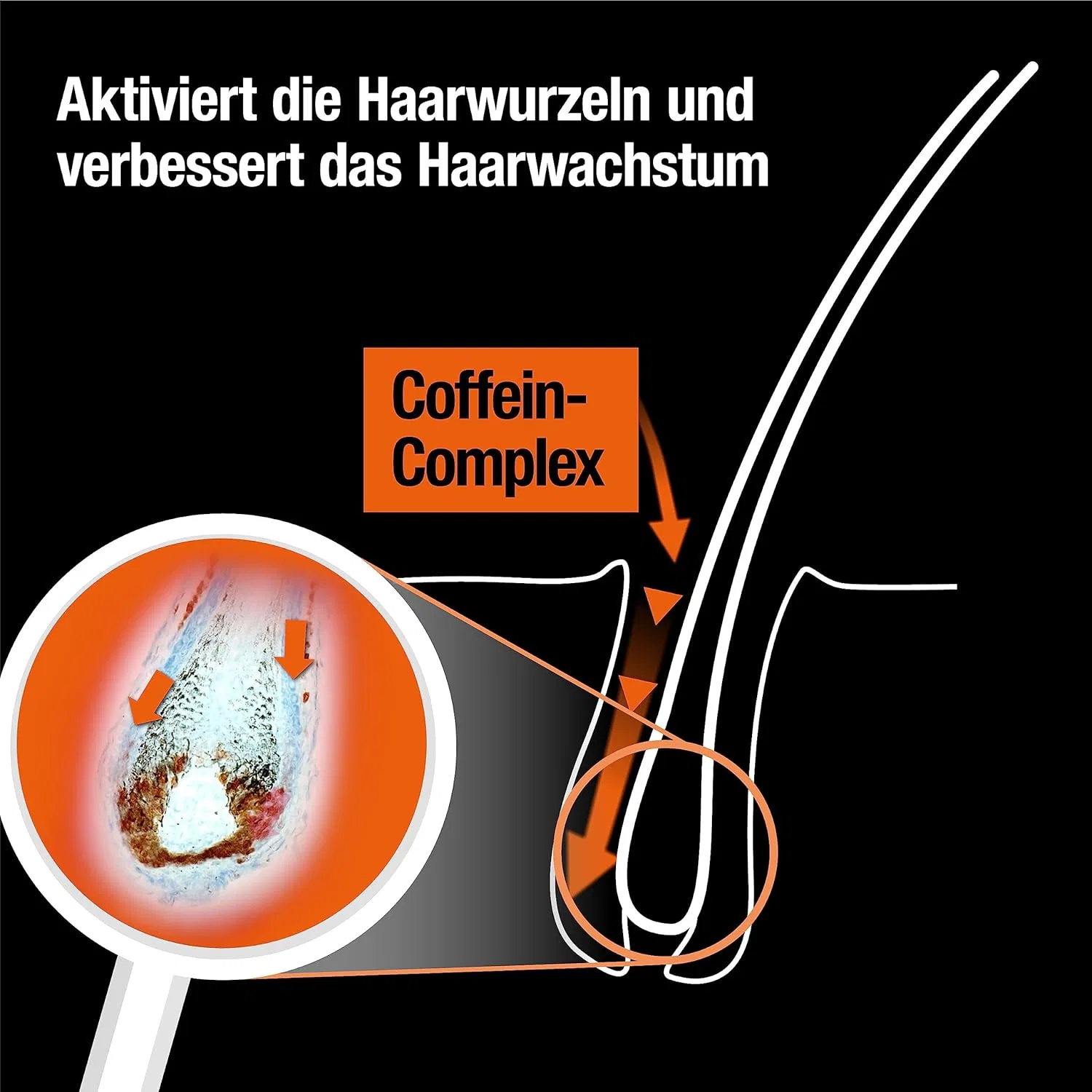 Кофеиновый бустер для волос «Coffein Hair Booster» от Alpecin Alpecin — фото 4