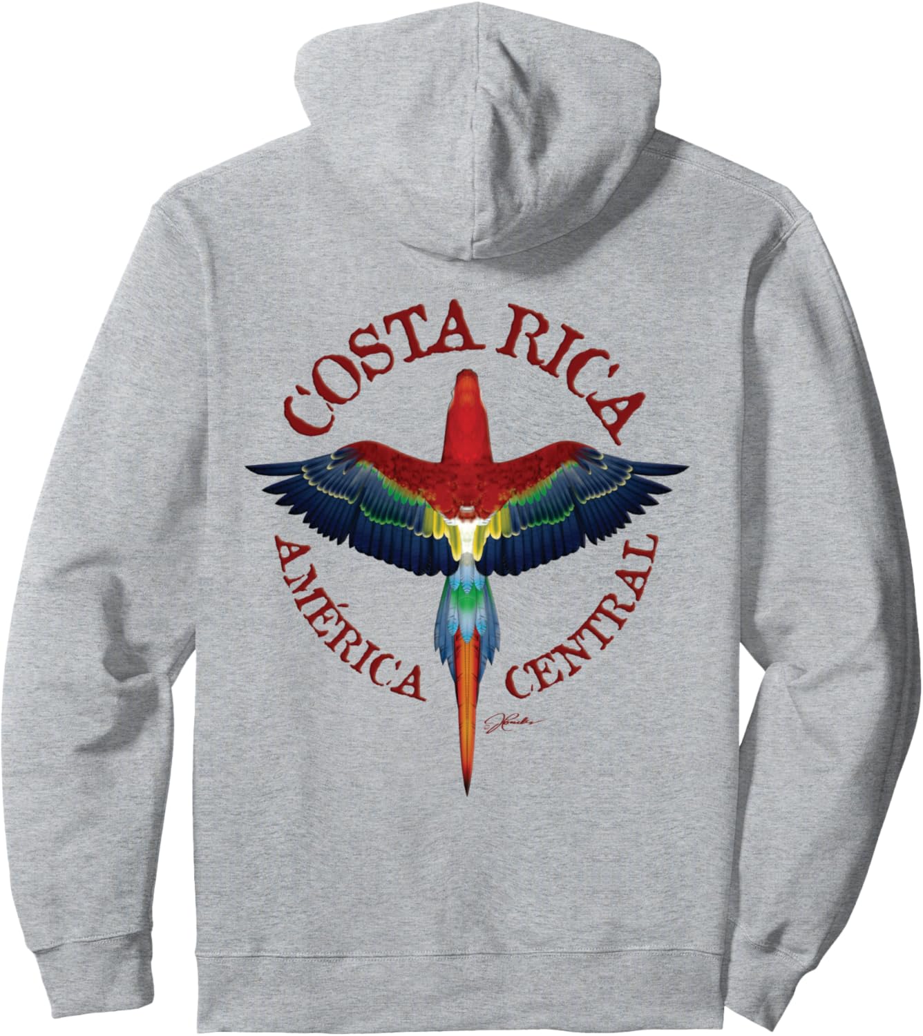 

Худи с изображением алого ара из Коста-Рики Jcombs, серый