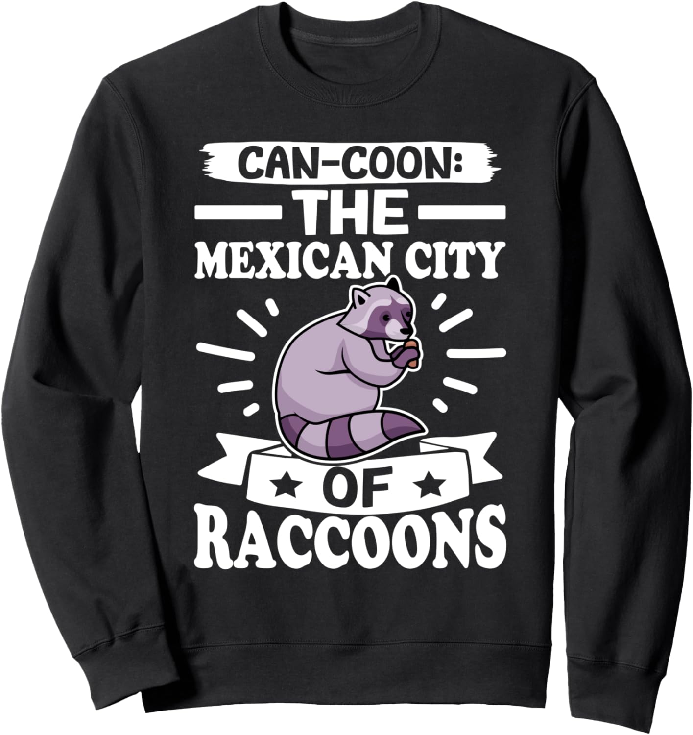 

Енот: Канкун: Мексиканская толстовка «Раккун-Сити» Cute Raccoon And Baby Raccoon Designs For Kids, черный